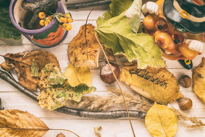 High angle view of pumpkins on table