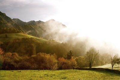 Scenic view of grassy field against sky