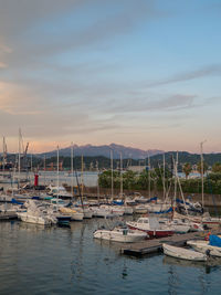 Boats moored at harbor