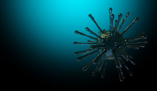 Close-up of a sea in the background