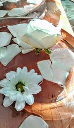 Close-up of flowers in vase on table