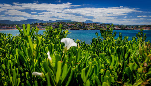 Scenic view of lake against cloudy sky