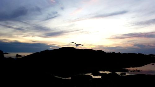 Silhouette birds flying over land against sky during sunset