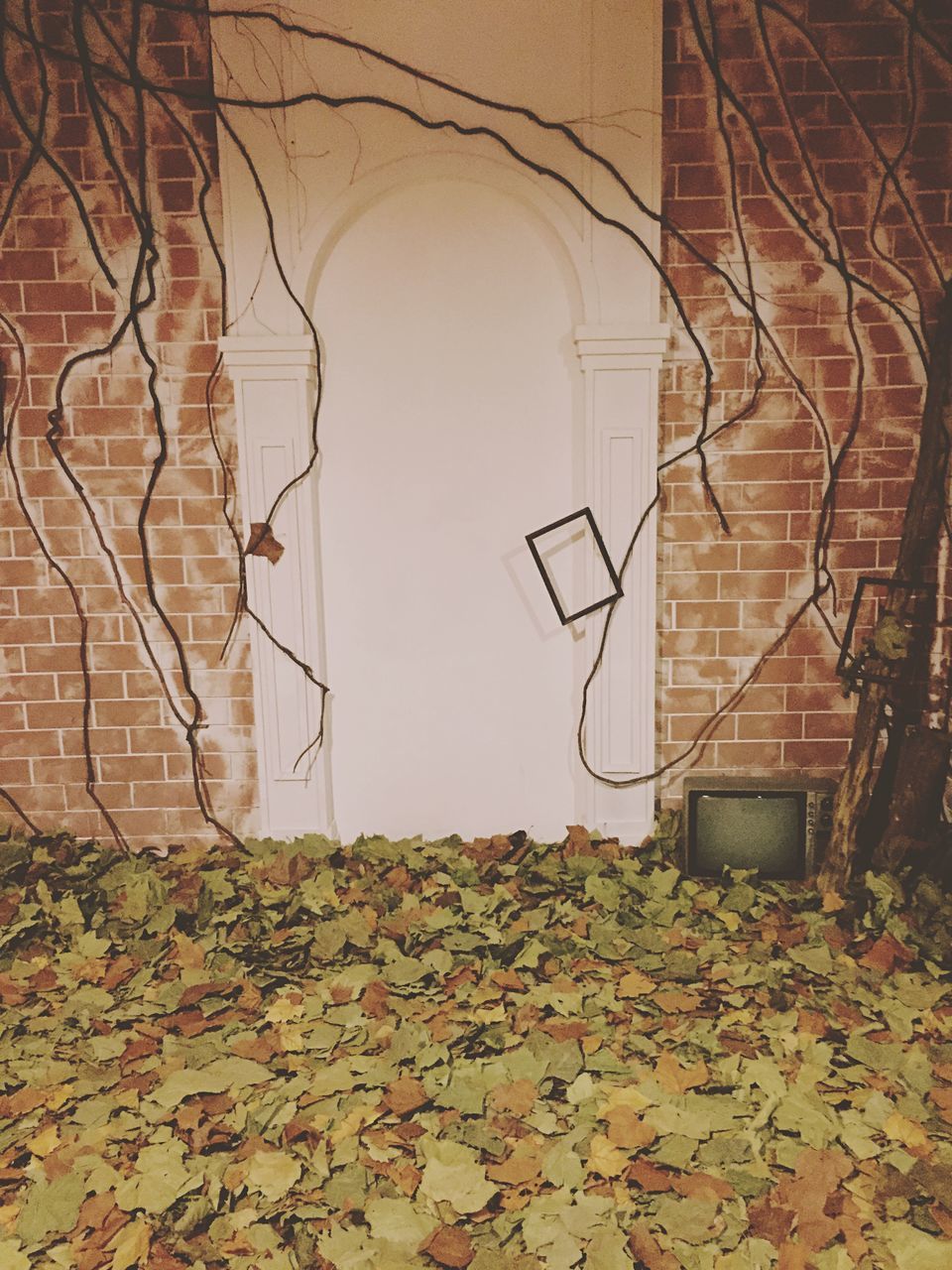 built structure, building exterior, architecture, wall - building feature, house, plant, leaf, autumn, brick wall, day, no people, outdoors, dry, bare tree, growth, wall, nature, tree, sunlight, residential structure