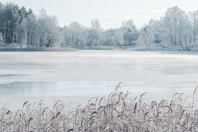 winter