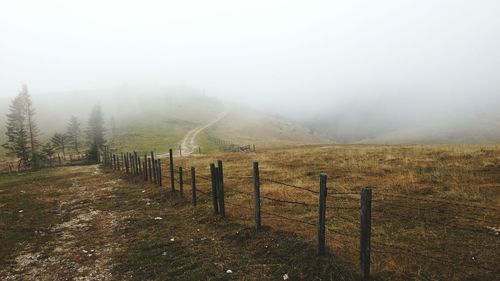 Scenic view of field in foggy weather