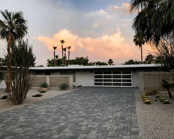 Street by palm trees and buildings against sky during sunset