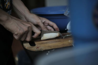 Midsection of person preparing food on cutting board