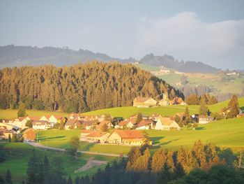 Scenic view of trees and houses against sky