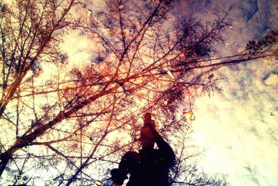 Low angle view of bare trees against sky