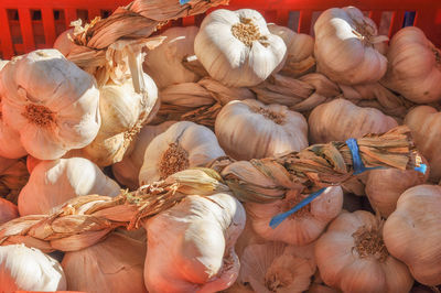 Close-up of vegetables for sale at market