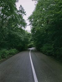 Empty road amidst trees