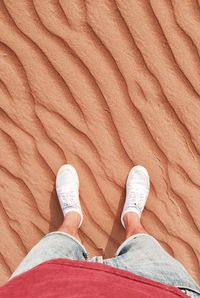 Low section of man standing on ground