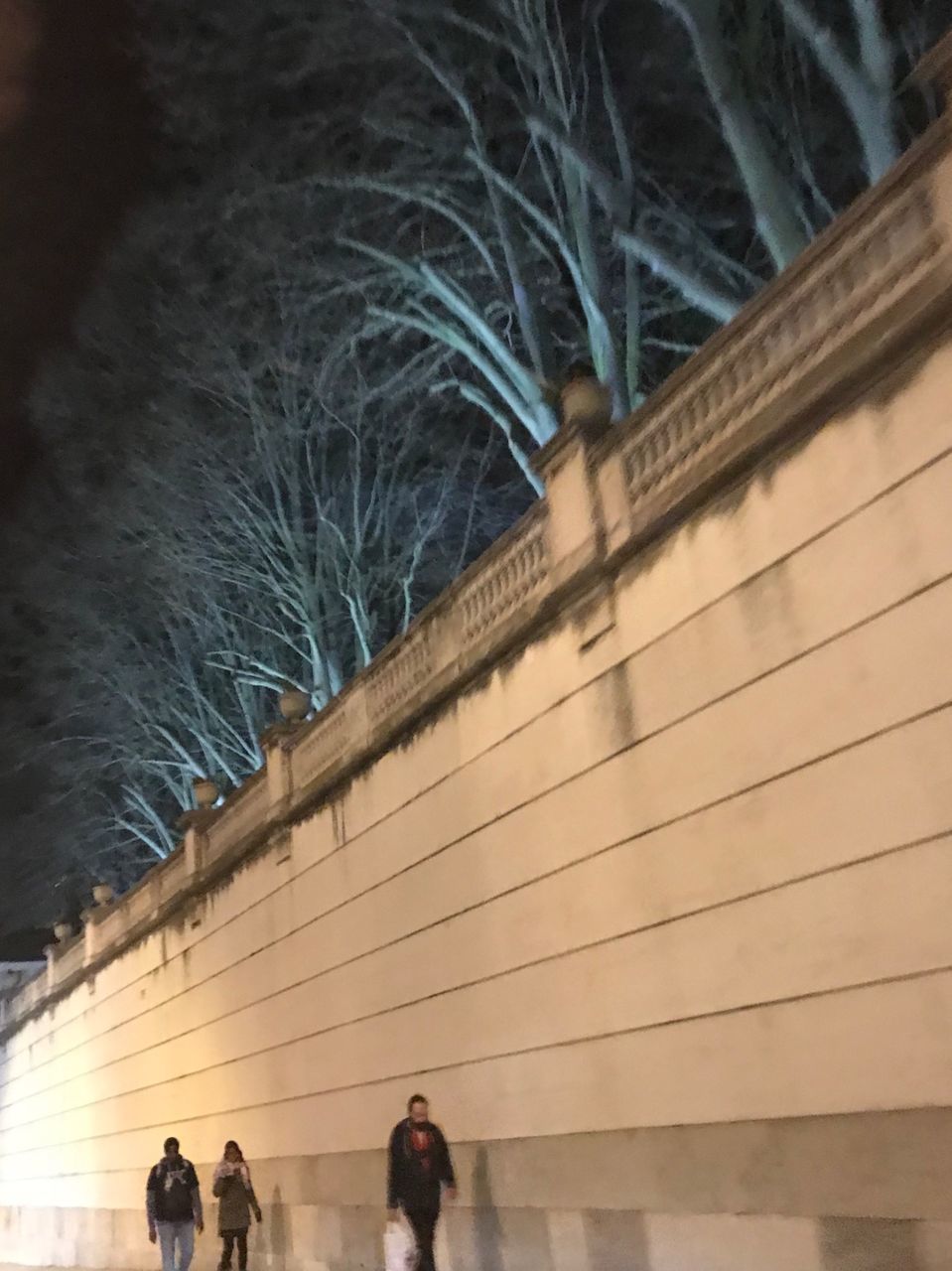 PEOPLE WALKING ON ILLUMINATED BRIDGE IN CITY