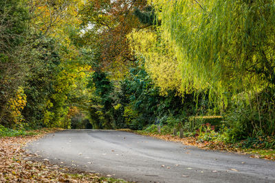 Road amidst trees during autumn