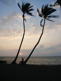 Silhouette of palm trees on beach