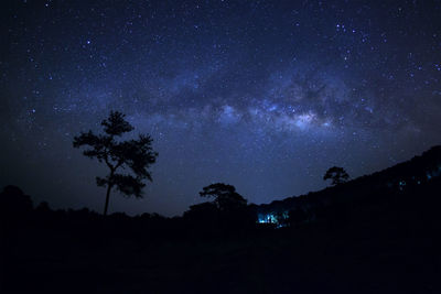 Low angle view of silhouette trees against sky at night