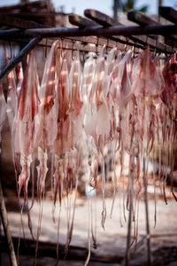 Close-up of food for sale in market