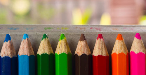 Close-up of multi colored pencils