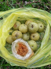 High angle view of fresh fruits on plant