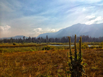 Scenic view of landscape against cloudy sky