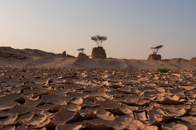 Scenic view of desert against clear sky