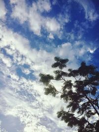 Low angle view of tree against sky