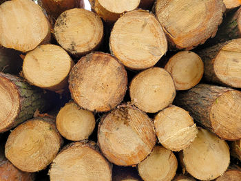 Full frame shot of logs