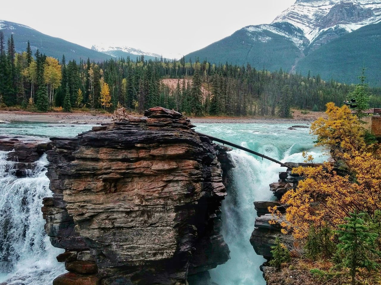 tree, beauty in nature, scenics - nature, water, plant, tranquility, tranquil scene, nature, non-urban scene, mountain, rock, forest, land, day, idyllic, sky, flowing water, environment, river, no people, outdoors, change, flowing, power in nature