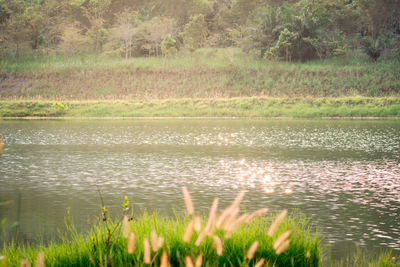 Scenic view of lake