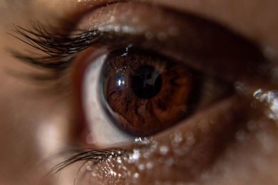 Close-up of human eye