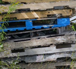 High angle view of wood