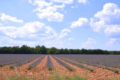 Scenic view of field against cloudy sky