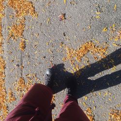 Low section of man standing on road