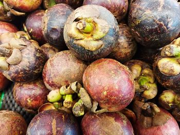 Mangosteen is tropical fruit can be found in asia