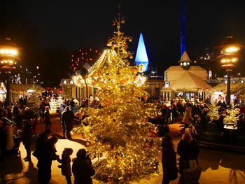 People on illuminated christmas tree at night