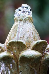 Close-up of statue against water