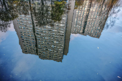 Reflection of trees on lake