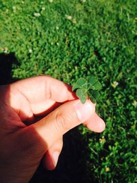 Close-up of hand holding snake
