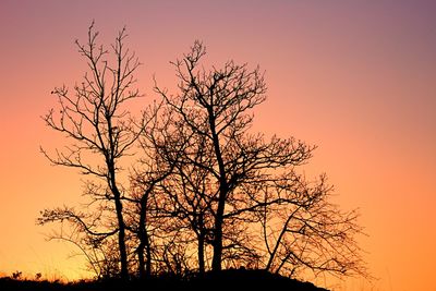 Silhouette bare tree against romantic sky at sunset