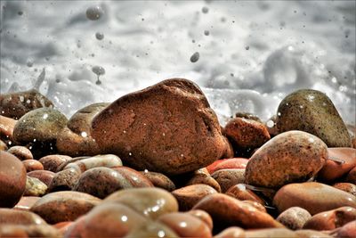 Close-up of stones on wet land