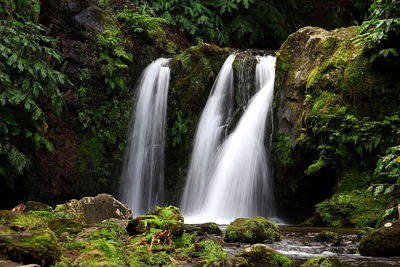 Scenic view of waterfall in forest