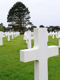 View of cemetery