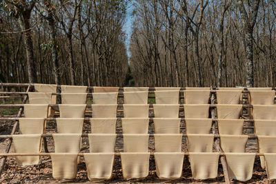 Row of trees on field