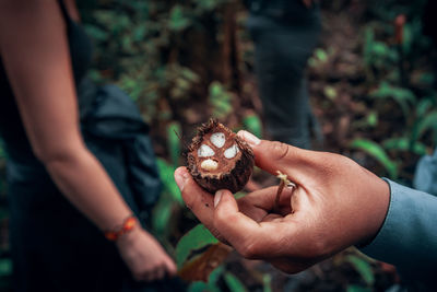 Close-up of hand holding leaf