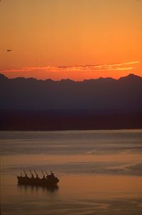 Silhouette cargo ship in sea against orange sky