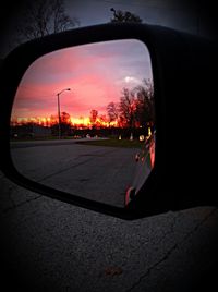 Reflection of trees in side-view mirror