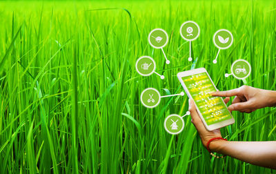 Midsection of person holding smart phone on field
