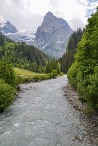 Rosenlaui glacier
