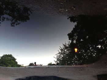 Reflection of trees in water